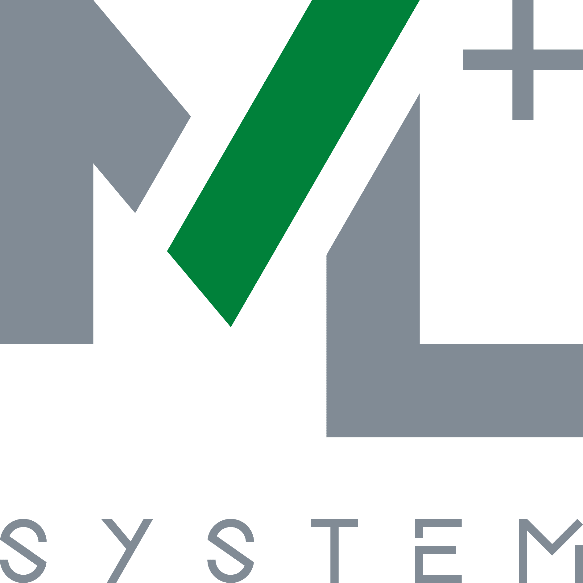 ML Sytem Plus logo